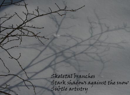 branches.jpg